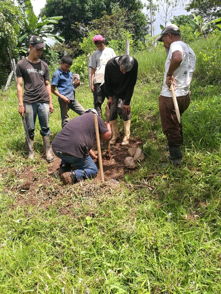 Entrenando a nuestros ayudantes a sembrar arbolitos de macadamia.