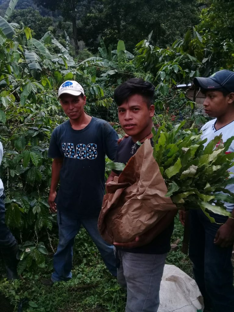 Donación de 1200 árboles a Corporación Multisectorial de Jóvenes Protagonistas del Cambieo, en San Ramón, Matagalpa, NICARAGUA